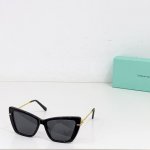 Tiffany&Co. model Tf4210 size 55口18-140
