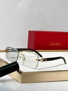 p210 Cartier mod:Ct0528S size:60口16 140
