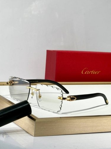 p210 Cartier mod:Ct0528S size:60口16 140