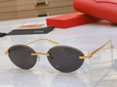 Cartie* 卡地*亚新款太阳镜，Ct0504S，Size: 57口18-137