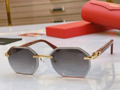 Cartie* 卡地*亚新款太阳镜 Ct0439S Size:57口21-145