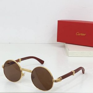 折叠 Cartier Mod:Esw00658 Size:54-22-145
