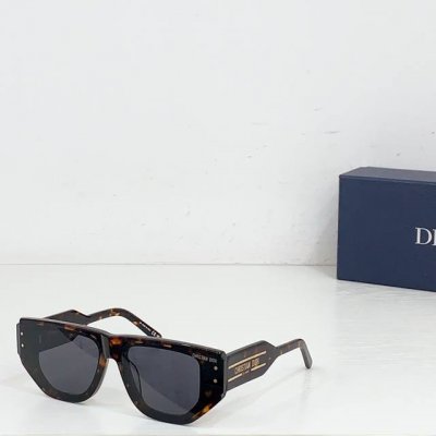 Dior mod Diorsignature S15F size 66口13 140