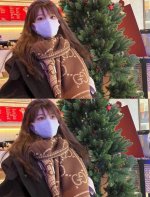 高品质 Gucci格纹大g羊毛围巾 又是一个秋冬王炸单品。经典gg图案是品牌在30年代开始使用的标志性元素之一，历经近一个世纪的发展依然为品牌探索全新表达提供灵