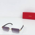 Cartie* Model：Ct0619S Size: 55口19-130