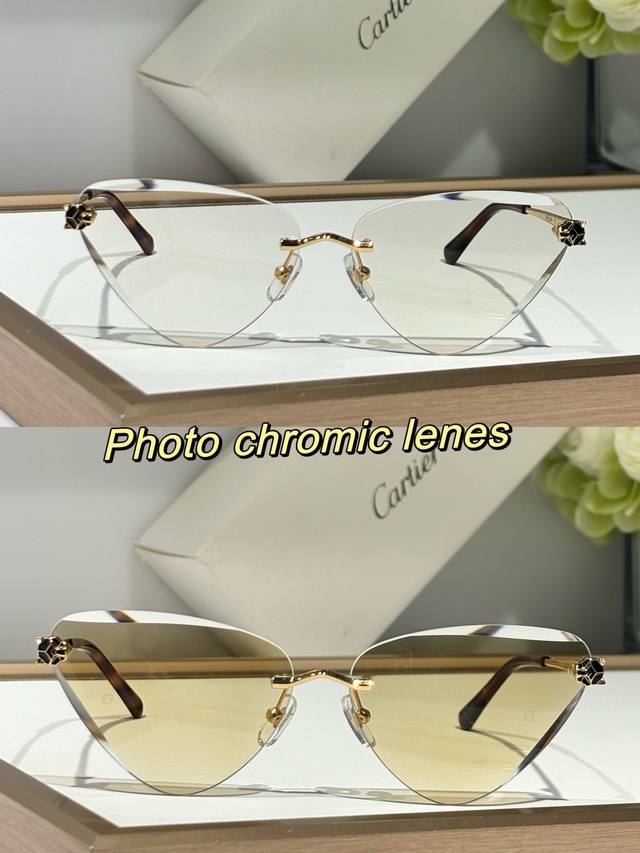p210 Cartier photo Chromic Lenes ct0399S size：62口15-145