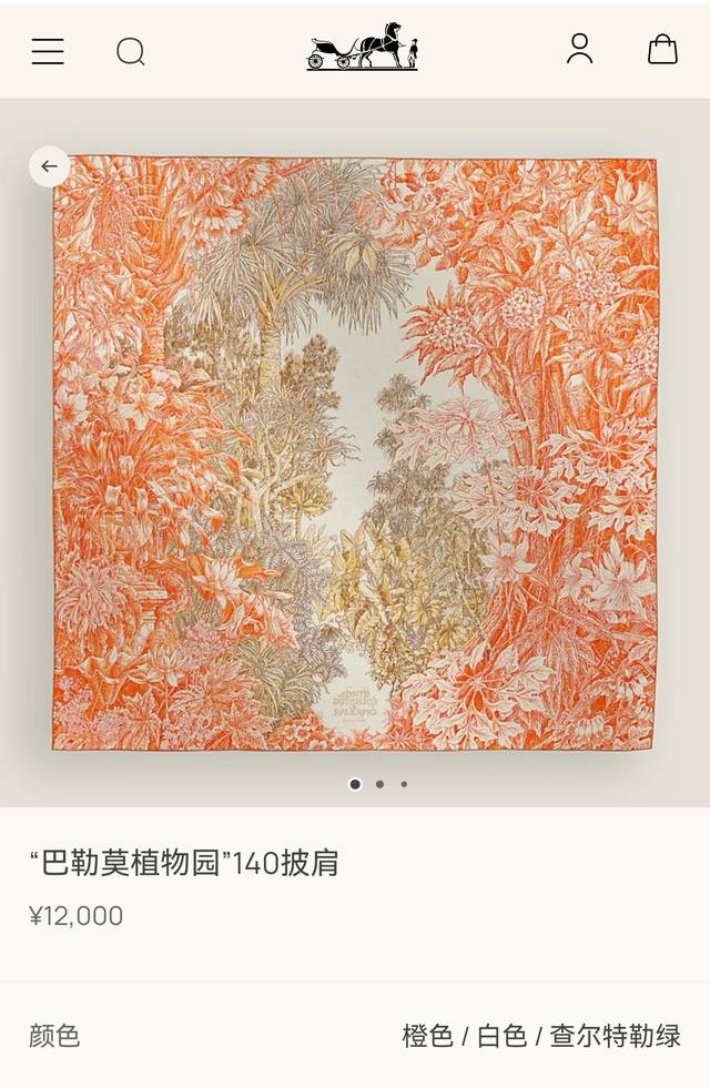 Rhms2549 双面同色 140X140Cm 70%羊绒30%真丝 爱马仕 巴勒莫植物园