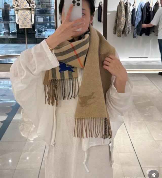 最新款 B双刺 双面刺绣印花提花 大密度双面羊绒格子围巾 超高难度工艺 绝非一般Copy能做 原版开板 精致无比的细节所见即所得 送礼自留最佳选择 经典配色 容