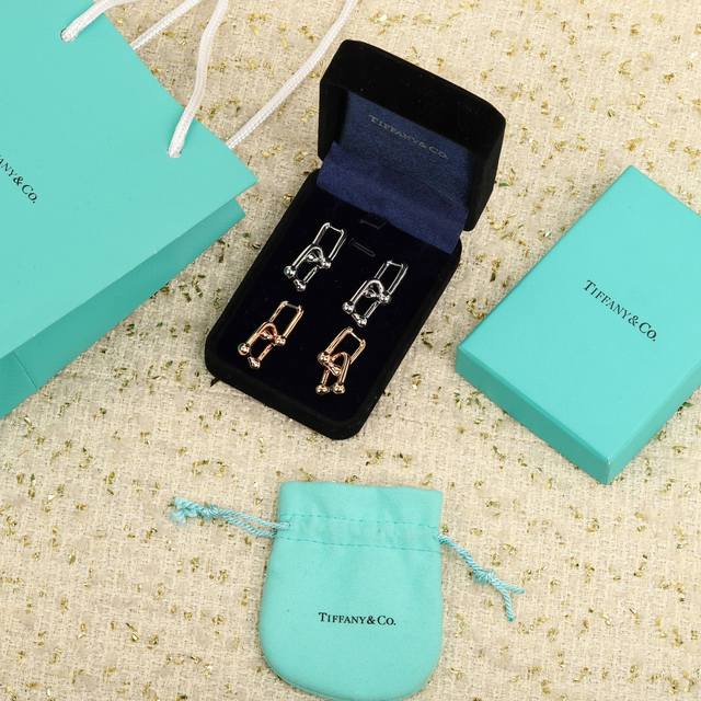 V金p 纯银p350 我们出品 蒂芙尼双链环耳环 ，可订做18K真金真钻版，只做对版真金货，价询客Fu Hardwear 系列优雅与颠覆精神并存，敏感捕捉到漫步